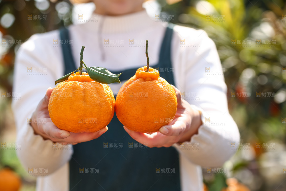 手里拿着丑八怪