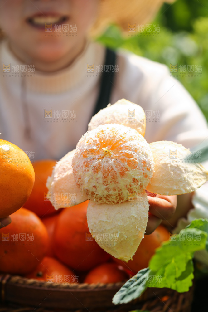 手里拿着新鲜沃柑