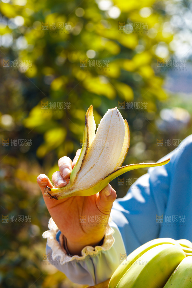 手里拿着广西芭蕉