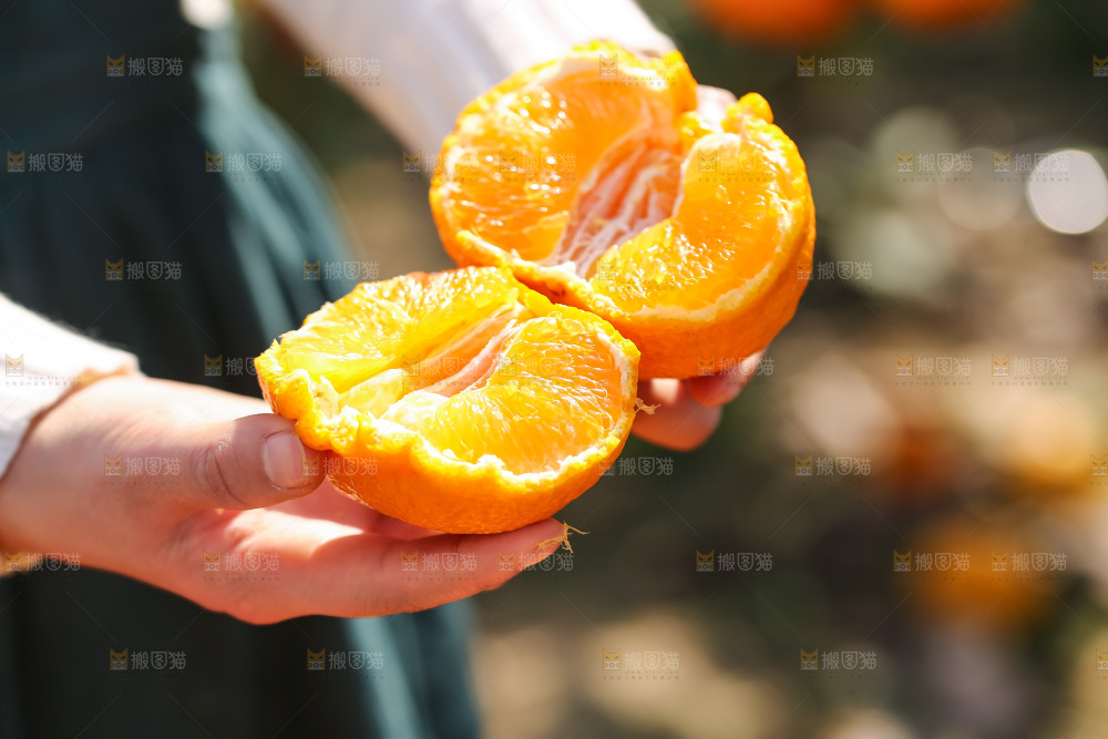 手里拿着丑八怪
