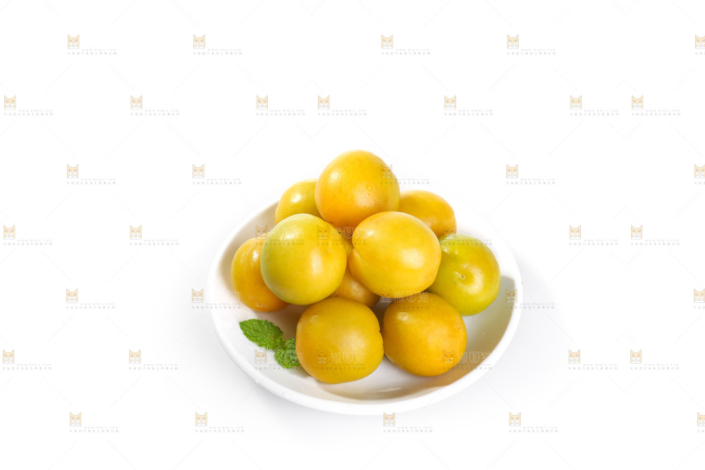白底上的蜂糖李
