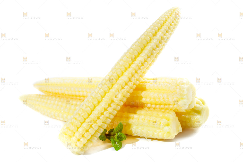 白底上的珍珠笋