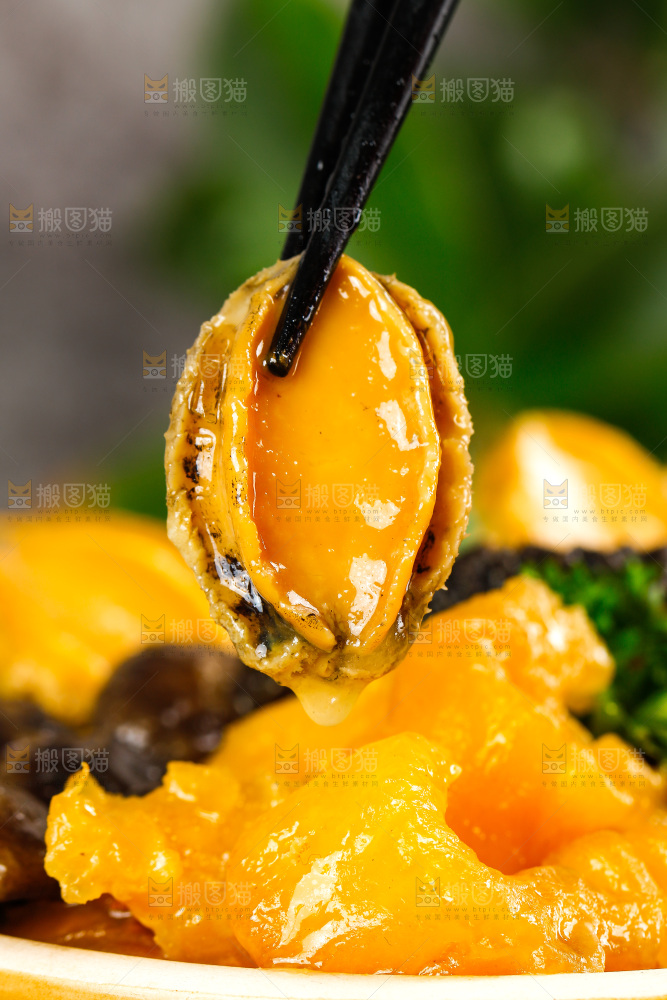 深底上的佛跳墙食材