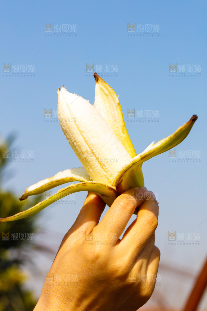 手里拿着广西芭蕉