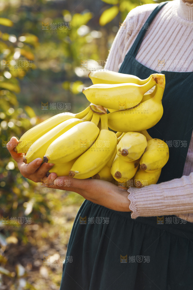 手里拿着广西芭蕉