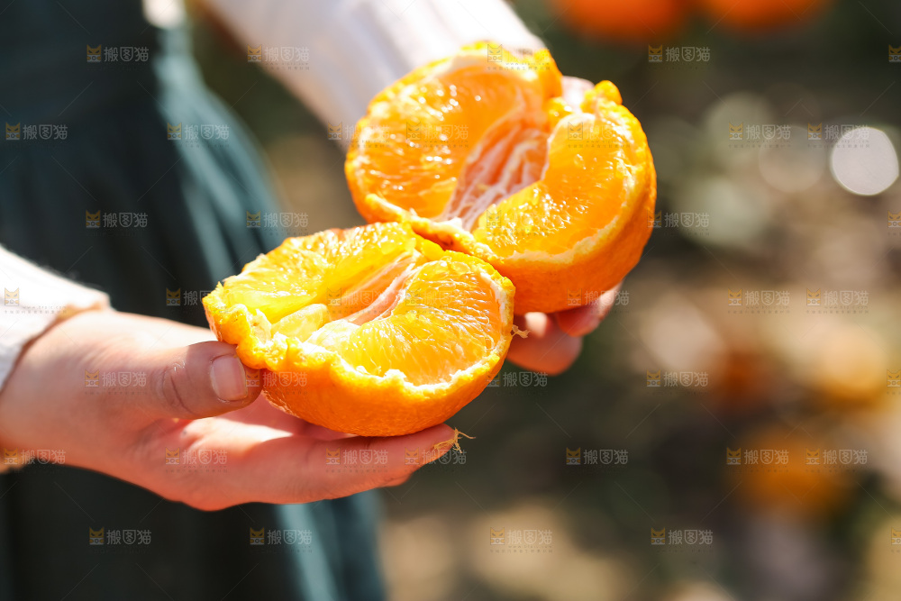 手里拿着丑八怪