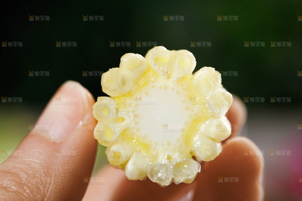 深底上的玉米笋