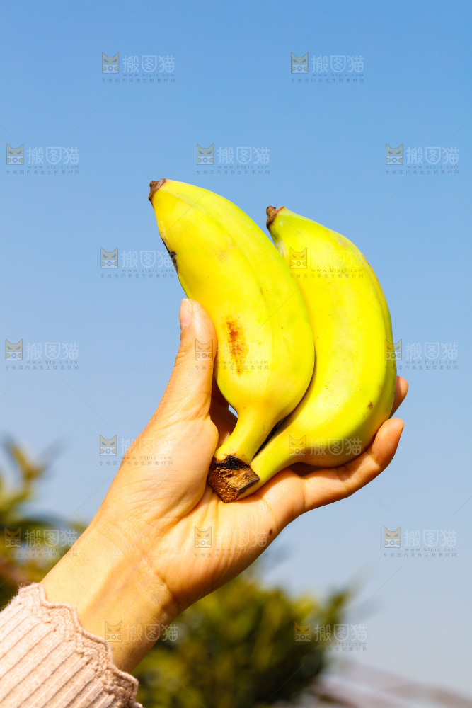 手里拿着广西芭蕉