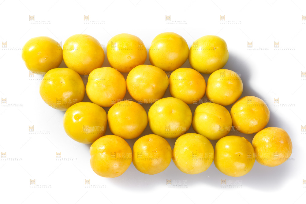 白底上的蜂糖李