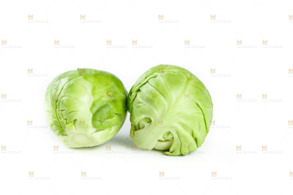 白底上的孢子甘蓝