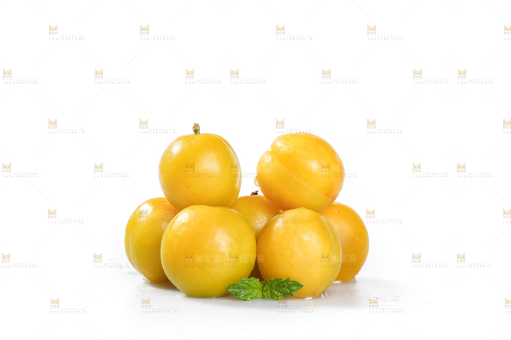 白底上的蜂糖李