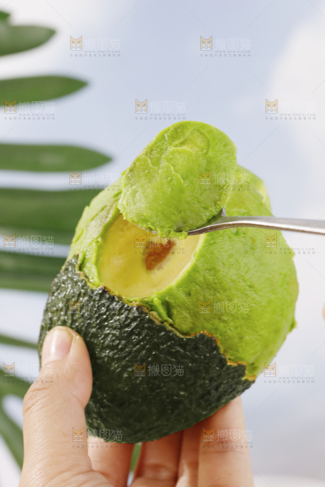 浅底上的巨无霸牛油果