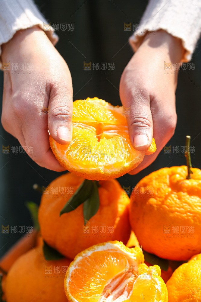 手里拿着丑八怪
