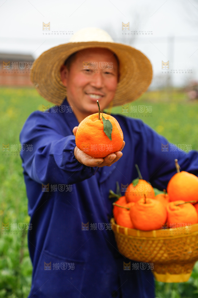手里拿着耙耙柑