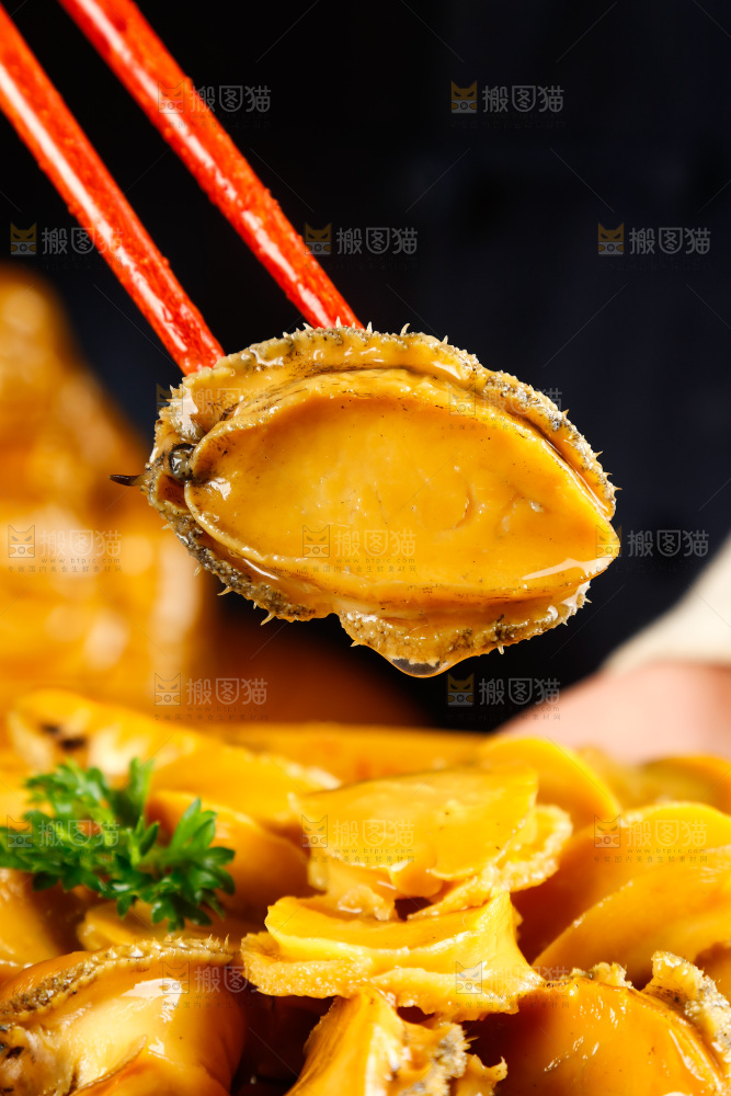 深底上的佛跳墙食材