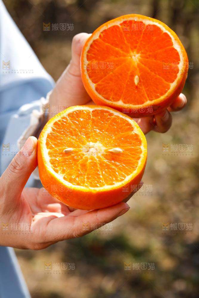 手里拿着沃柑