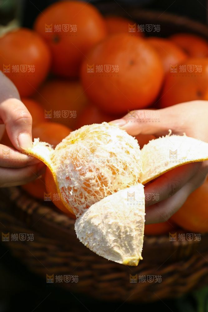 手里拿着新鲜沃柑