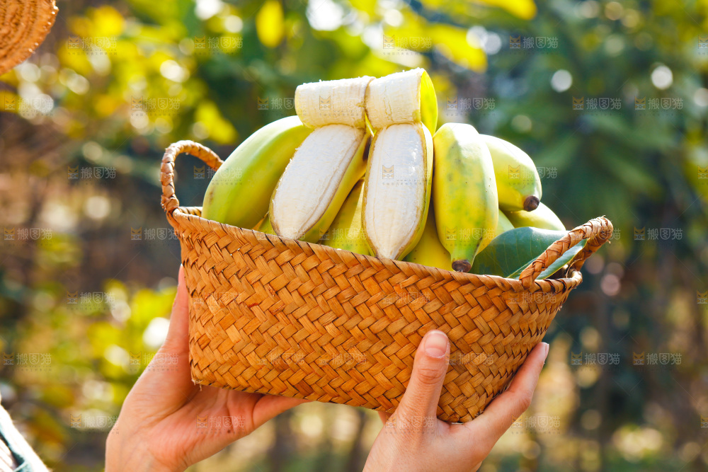 手里拿着广西芭蕉