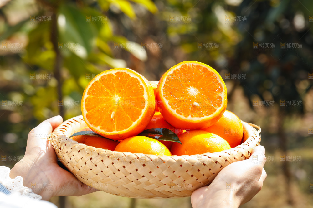 手里拿着沃柑