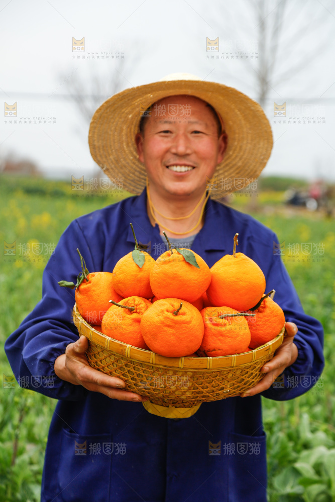 手里拿着耙耙柑