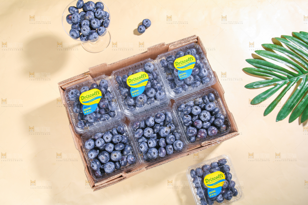 浅底上的新鲜蓝莓