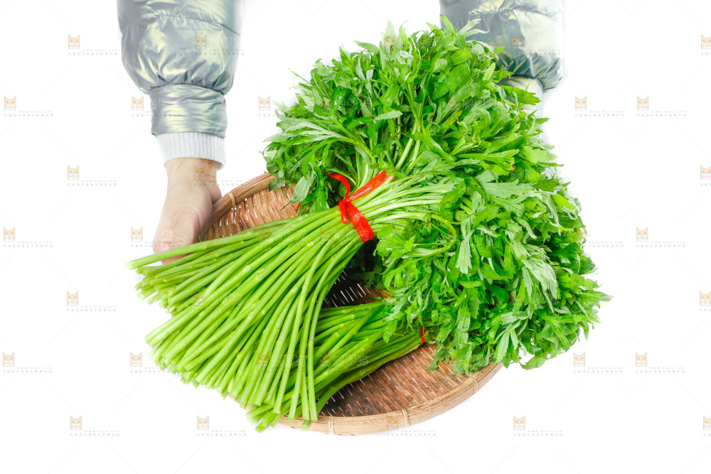 白底上放着藜蒿