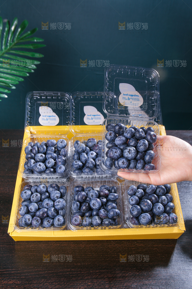 黑底上摆着的新鲜蓝莓
