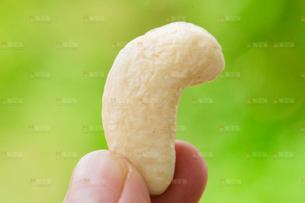 手里拿着腰果仁