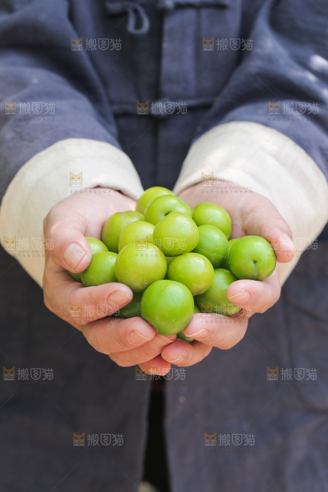 手里捧着三月李