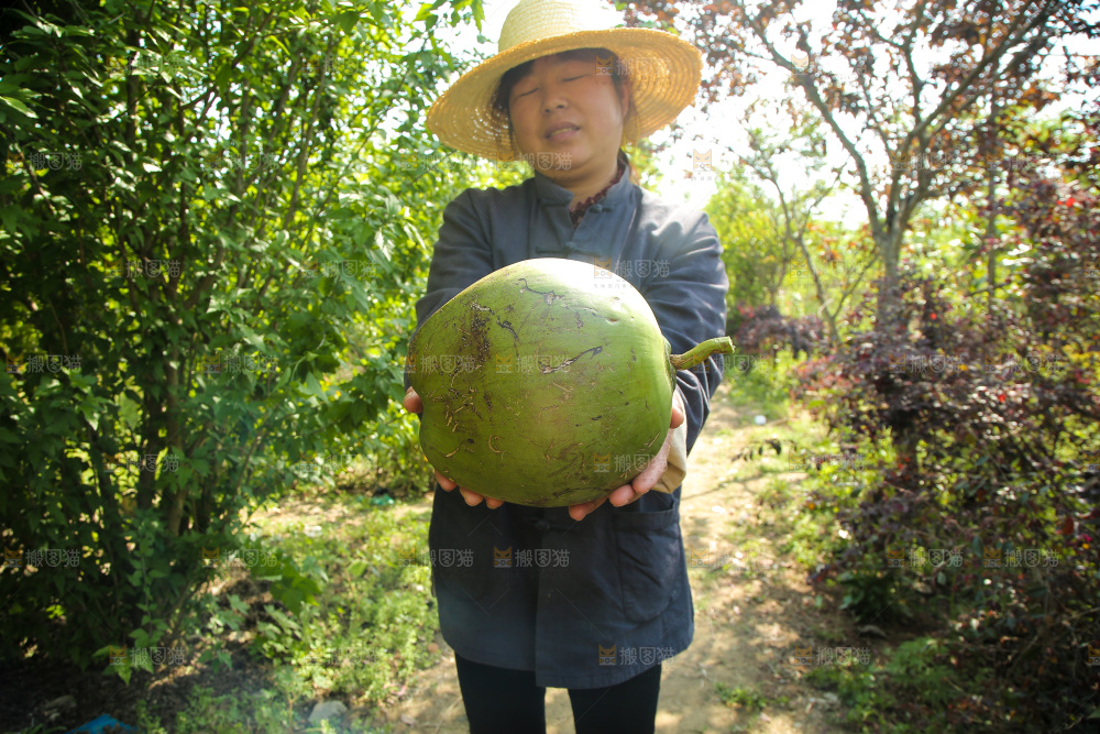 女人手里拿着带皮椰青