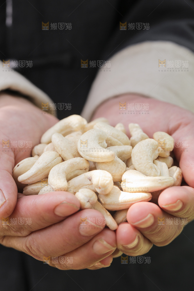 手里捧着白腰果仁