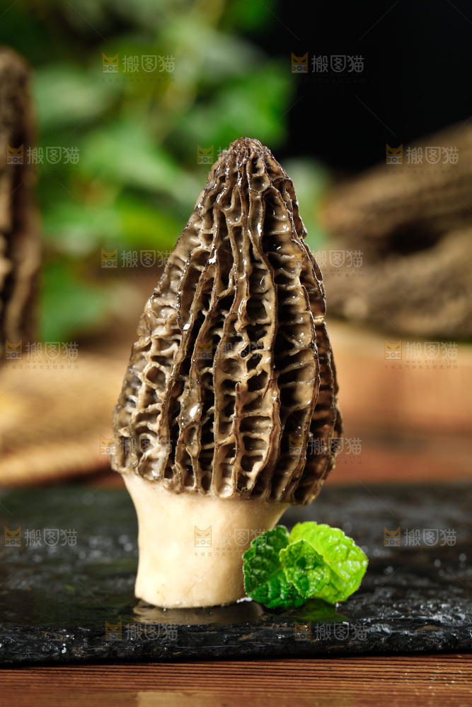 木底上的羊肚菇
