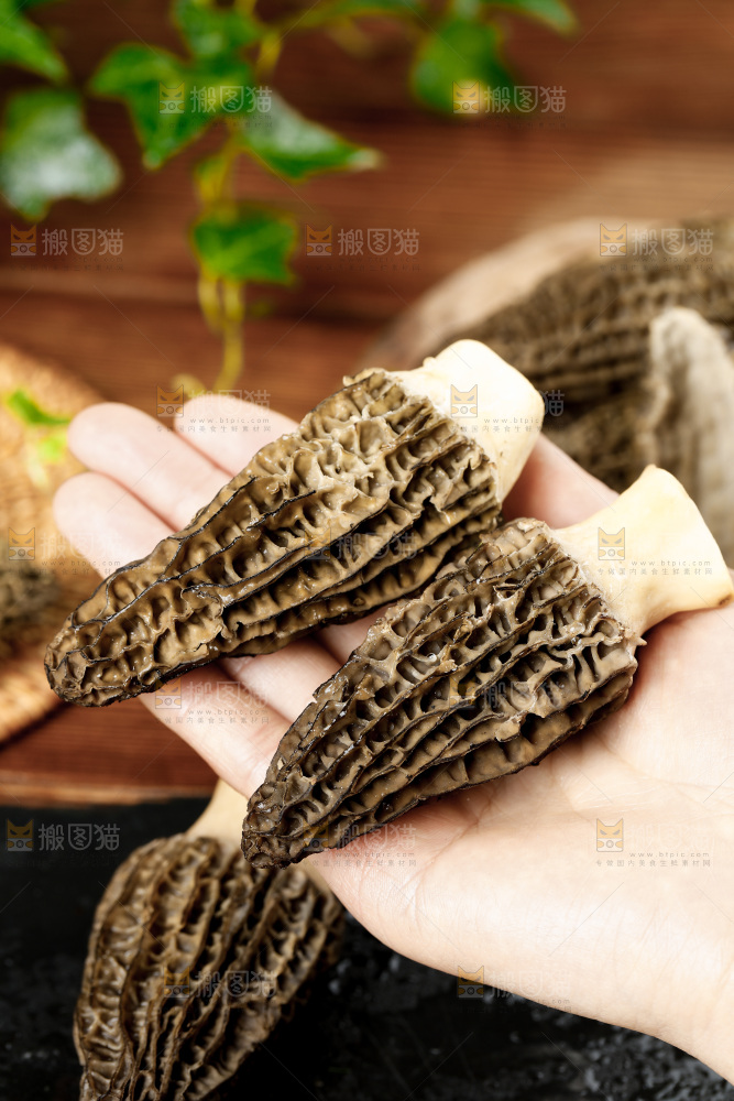 木底上的羊肚菇