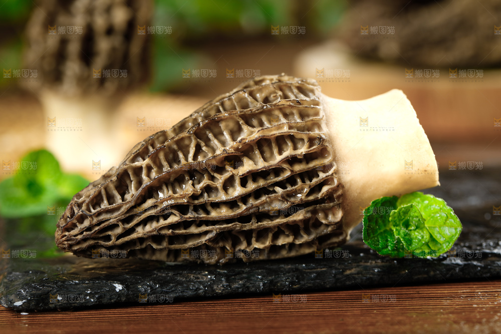 木底上的羊肚菇