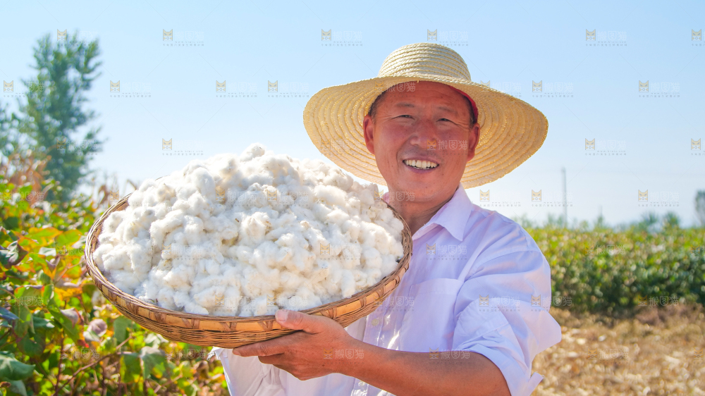 手里拿着棉花