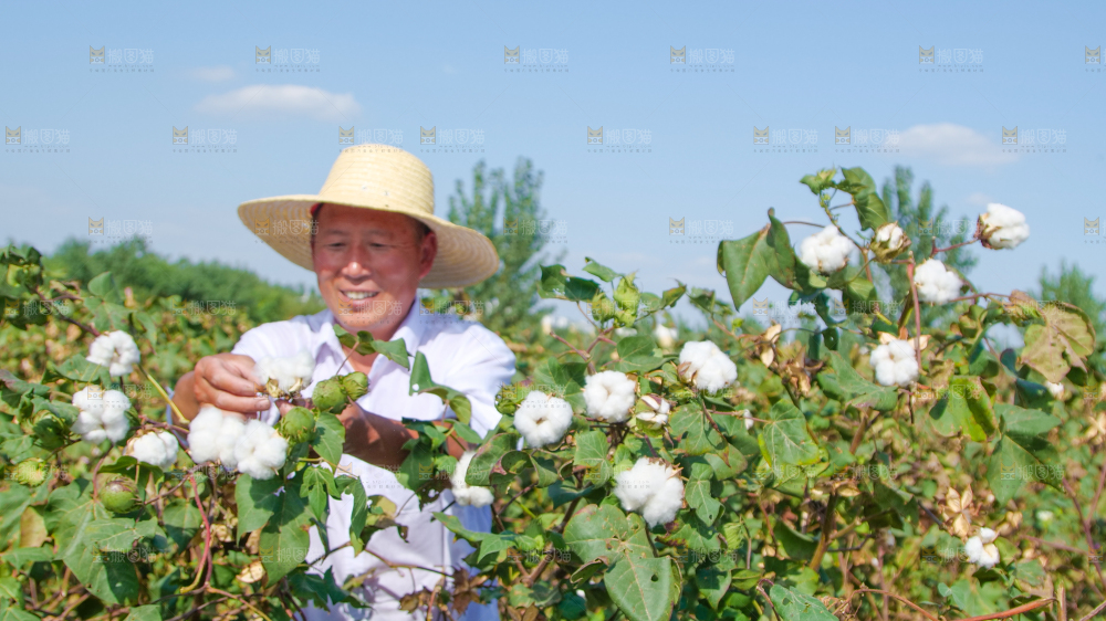 手里拿着棉花