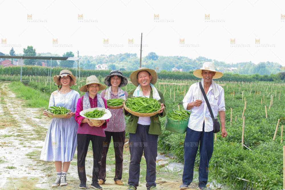 手里拿着现摘线椒
