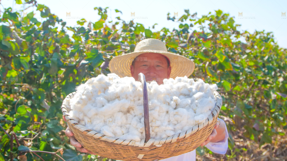 手里拿着棉花