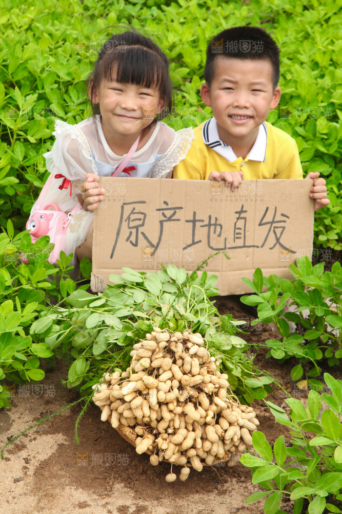 手里拿着现挖花生
