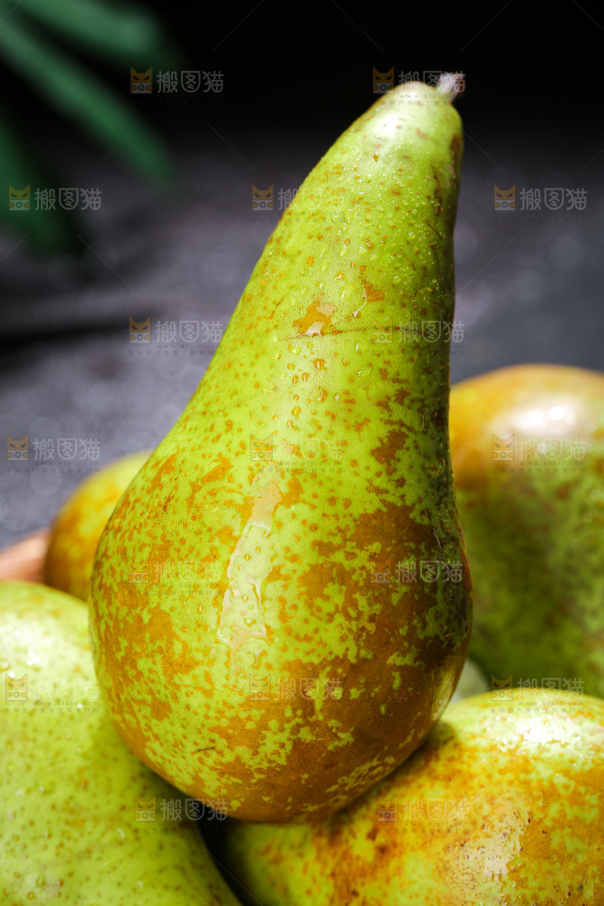 黑底上的进口啤梨