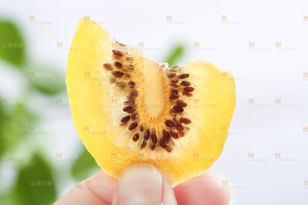 浅底上的黄心猕猴桃干