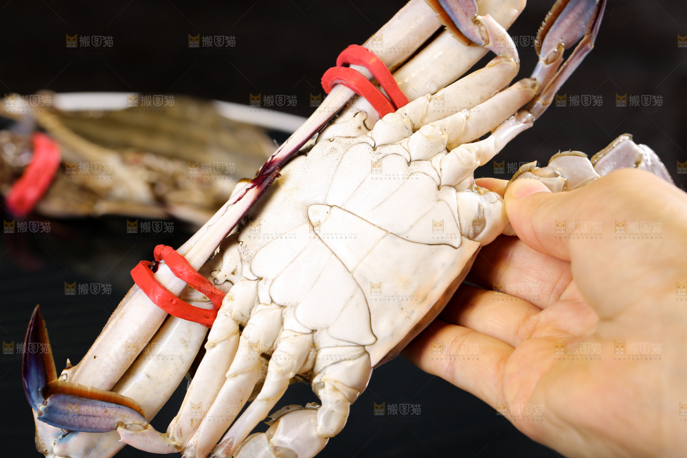 深底上放着梭子蟹