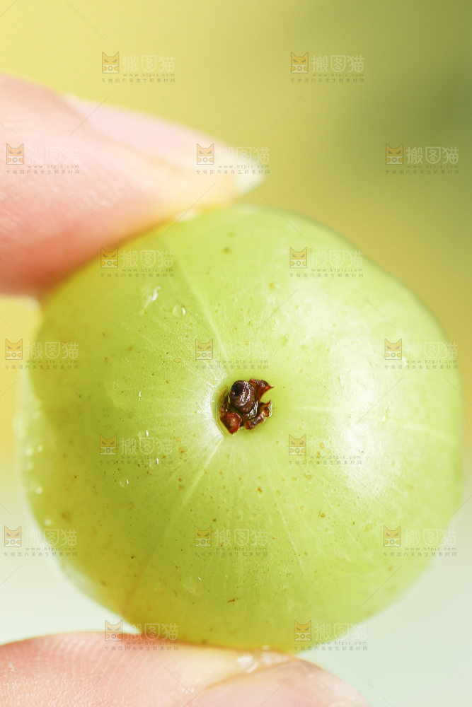 浅底上的油甘果