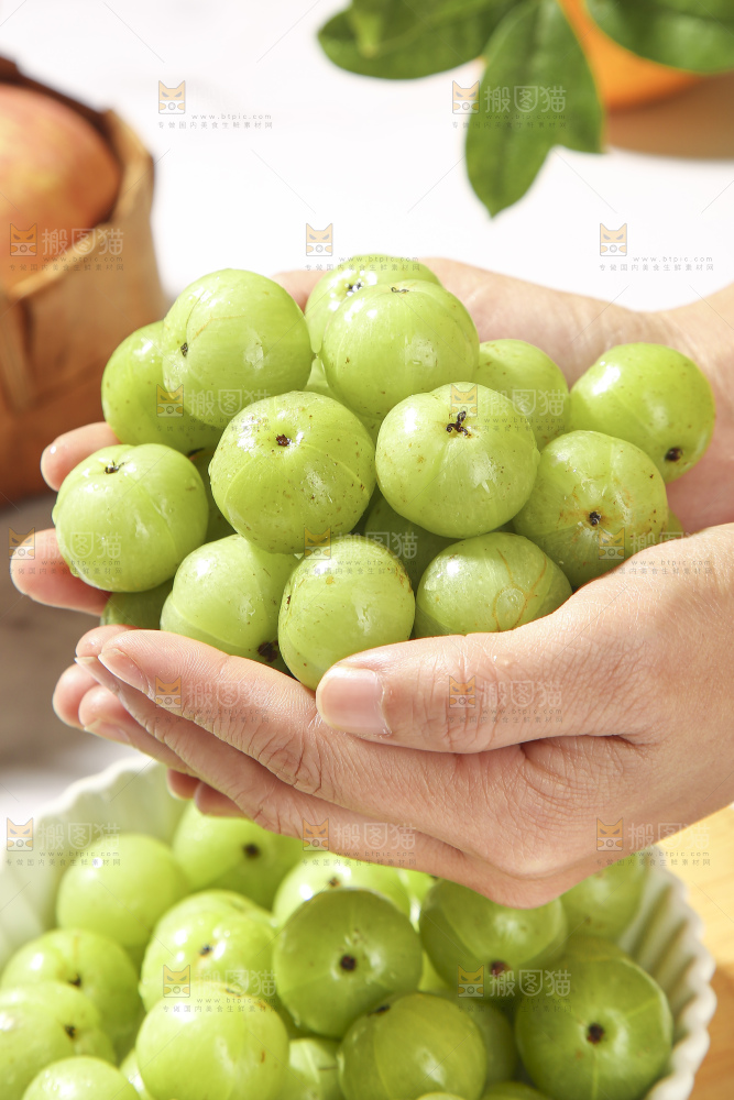 浅底上的油甘果