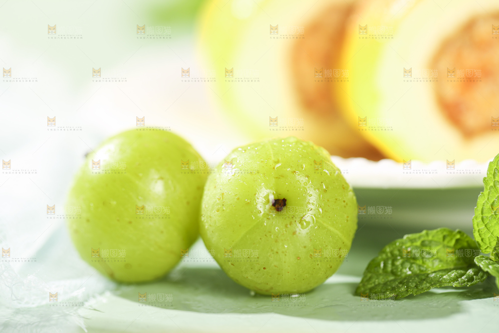 浅底上的油甘果