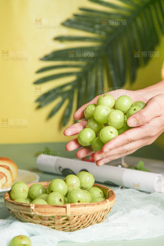 浅底上的油甘果