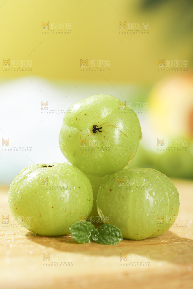 浅底上的油甘果