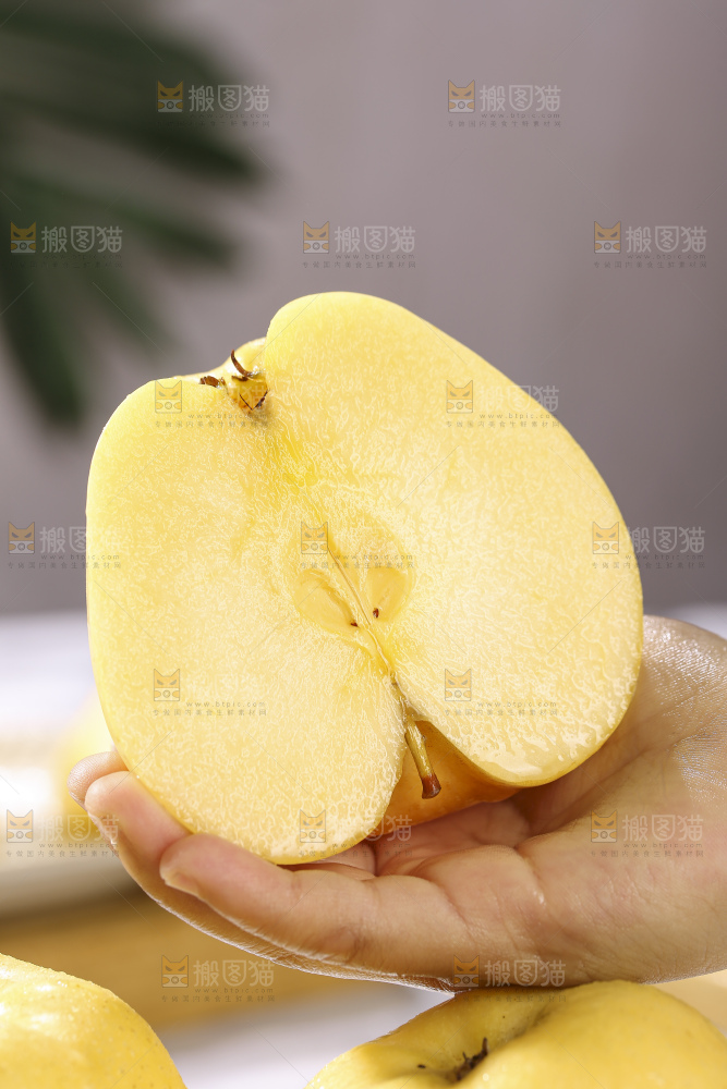 浅底上的维纳斯苹果