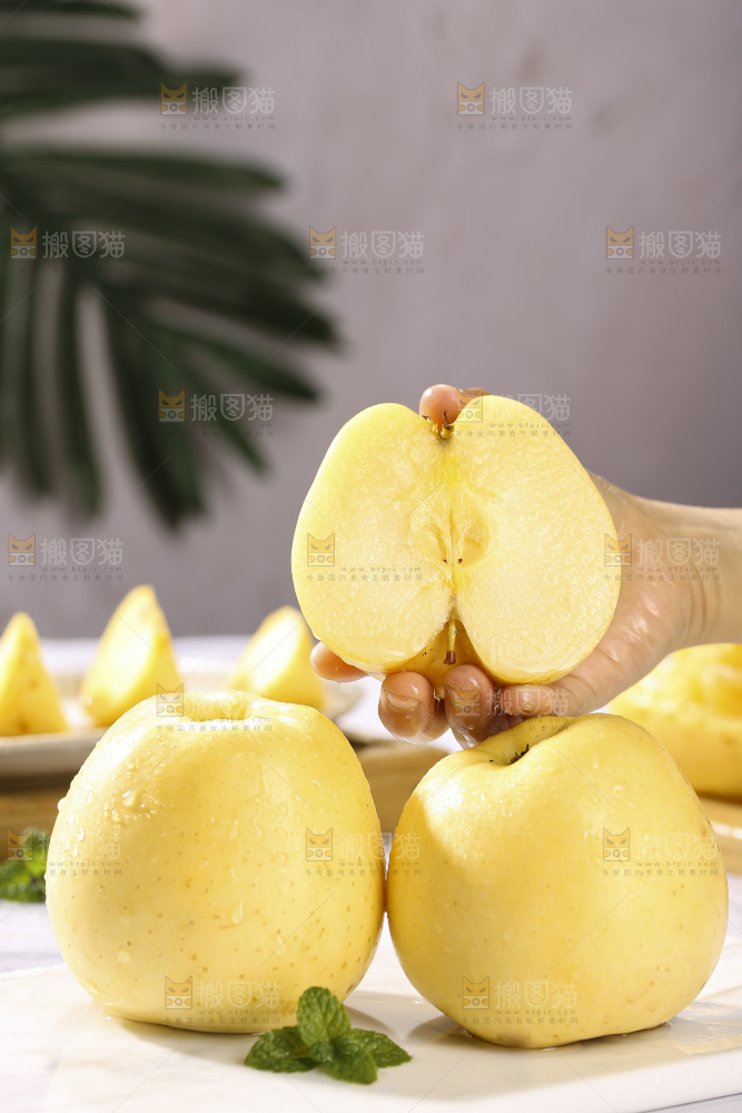 浅底上的维纳斯苹果