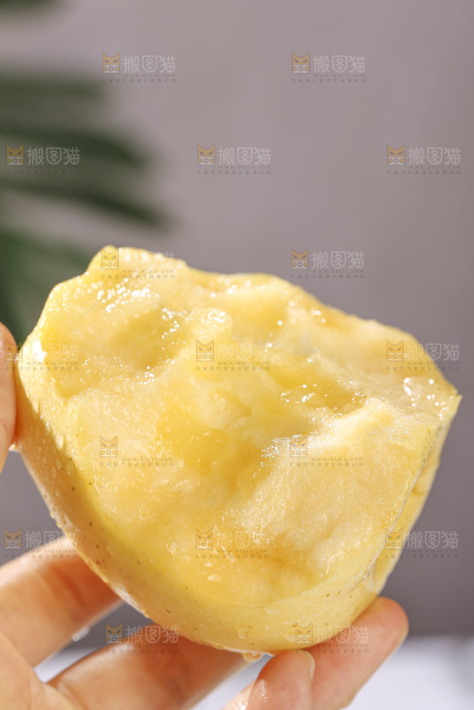 浅底上的维纳斯苹果